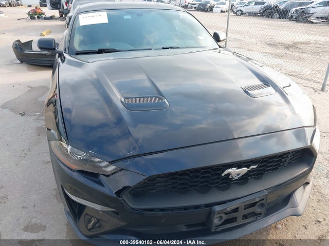 Ford Mustang Ecoboost 2019 1FA6P8TH2K5178249 Image 12
