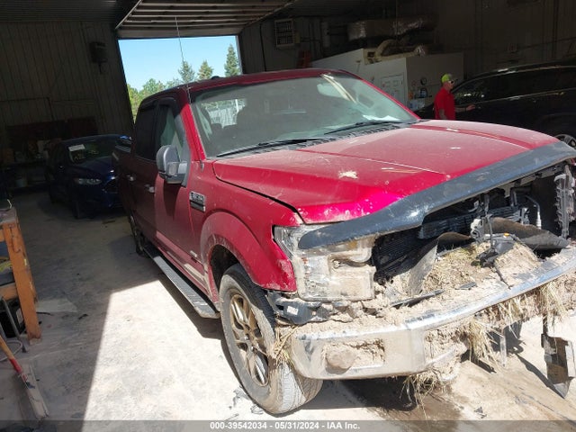 Ford F-150 Xlt 2016 1FTEW1EP5GKE74007 Image 1