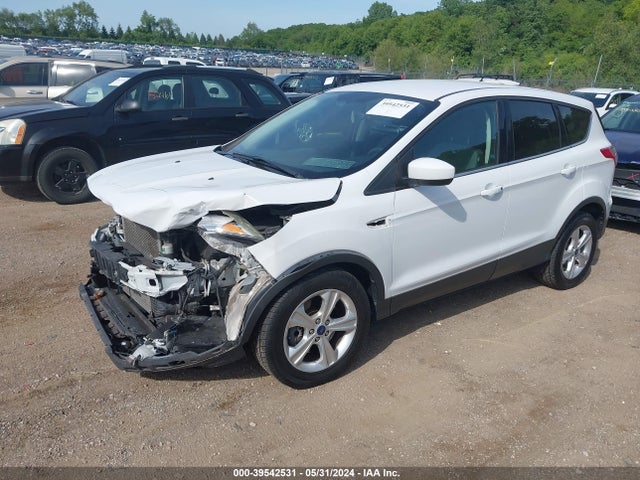 Ford ESCAPE SE 2014 1FMCU0G91EUD32661 Image 2