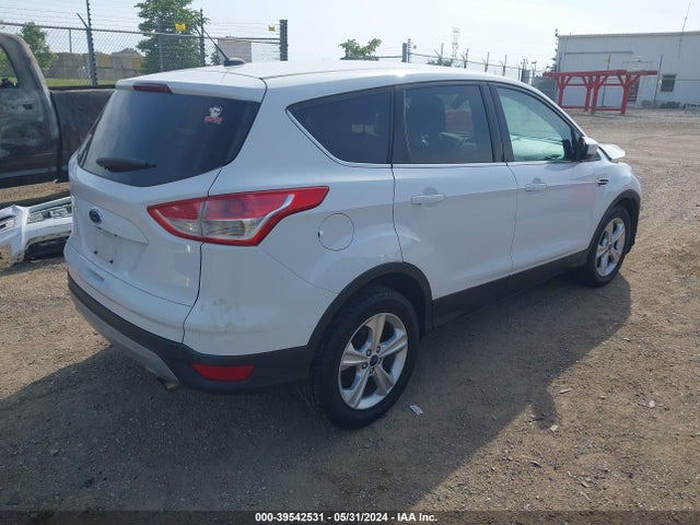 Ford ESCAPE SE 2014 1FMCU0G91EUD32661 Image 4