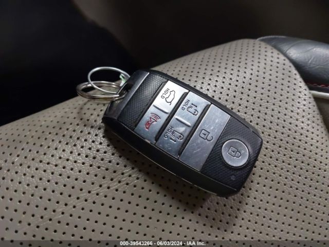 KNDMC5C11G6143895 KIA SEDONA EX