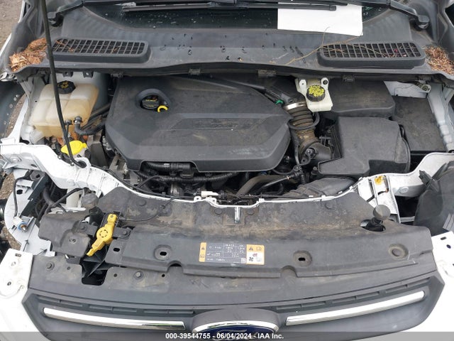 Ford ESCAPE SE 2014 1FMCU0GX2EUD65246 Image 10
