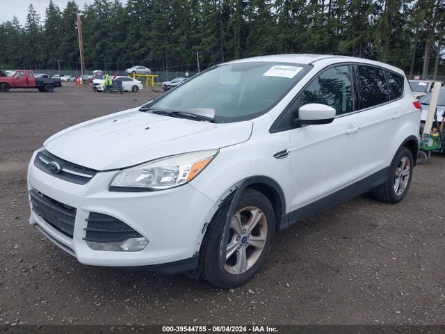 Ford ESCAPE SE 2014 1FMCU0GX2EUD65246 Image 2