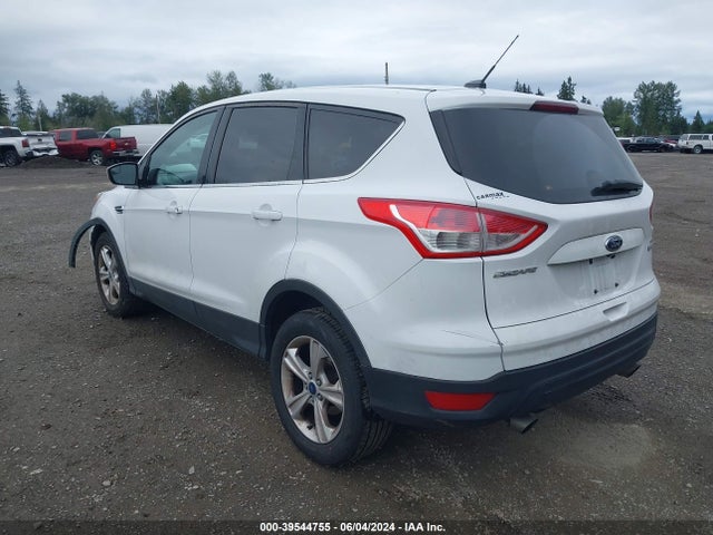 Ford ESCAPE SE 2014 1FMCU0GX2EUD65246 Image 3