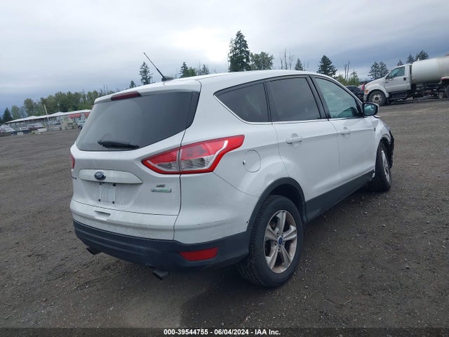 Ford ESCAPE SE 2014 1FMCU0GX2EUD65246 Image 4
