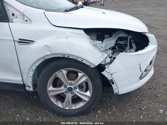 Ford ESCAPE SE 2014 1FMCU0GX2EUD65246 Image 6