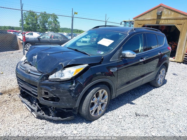 Ford ESCAPE SE 2016 1FMCU0GX4GUA75030 Image 2
