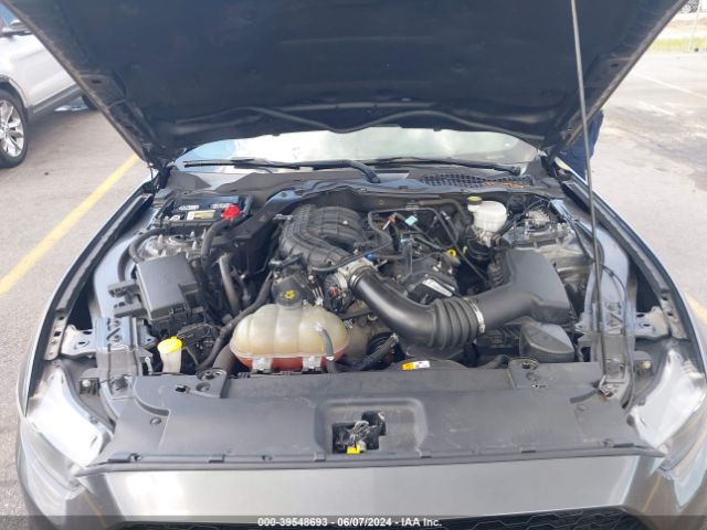 1FA6P8AM1H5289044 Ford Mustang V6