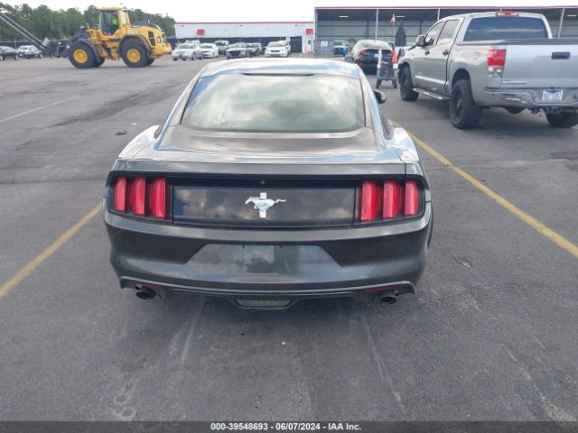 1FA6P8AM1H5289044 Ford Mustang V6