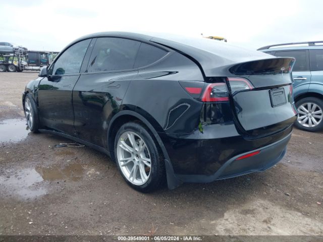 2023 TESLA MODEL Y 7SAYGDEE8PF704424 Photo 2