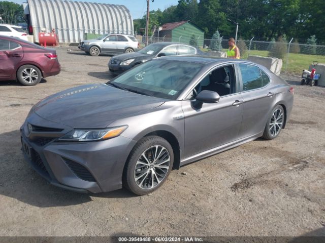 4T1G31AK2LU527820 Toyota Camry Se Hybrid