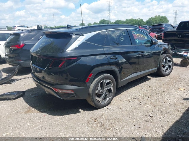 Hyundai Tucson Limited 2023 5NMJECAE7PH205780 Image 4