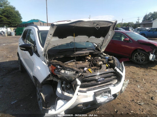 Ford Ecosport Ses 2019 MAJ6S3JL9KC250584 Image 6