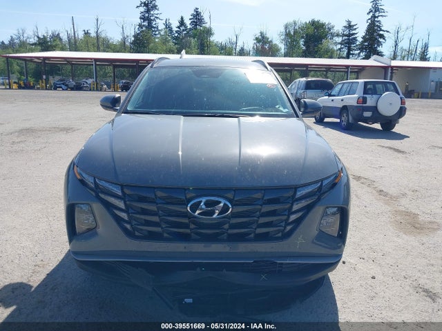 Hyundai TUCSON SEL 2024 5NMJBCDE0RH410588 Image 12
