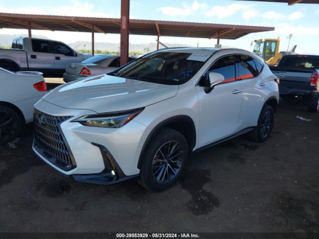 JTJAGCEZ4R5006504 Lexus NX 350