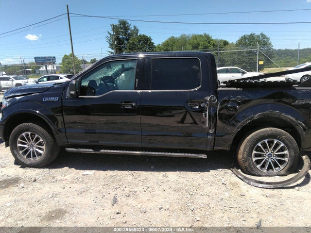 Ford F-150 Xlt 2019 1FTEW1E52KFD41303 Image 14