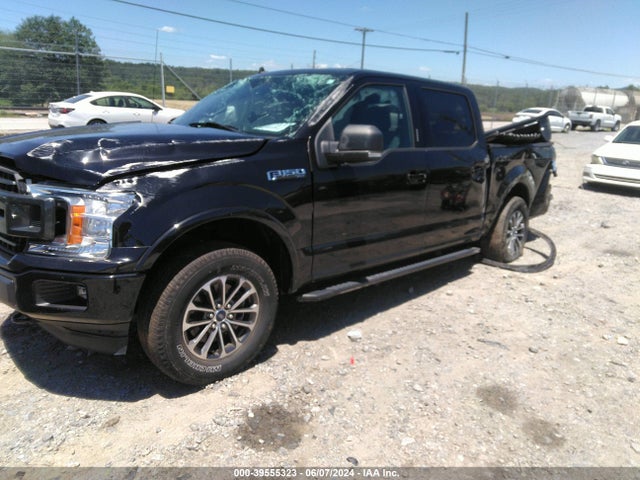 Ford F-150 Xlt 2019 1FTEW1E52KFD41303 Image 2