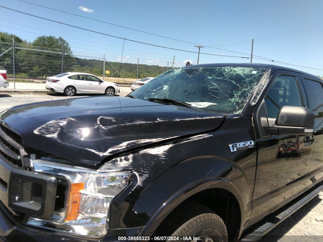 Ford F-150 Xlt 2019 1FTEW1E52KFD41303 Image 6