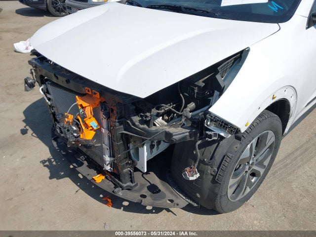 KNDCC3LG4N5142019 KIA Niro Ev Ex