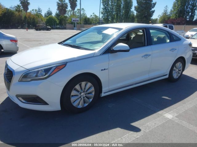 KMHE24L14GA029206 Hyundai Sonata Hybrid Se