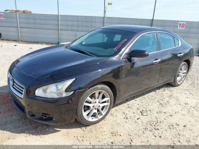 1N4AA5APXEC464757 Nissan Maxima 3.5 S/3.5 Sv