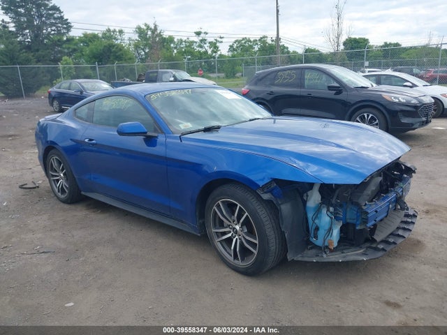 2017 1FA6P8TH3H5335537 main image