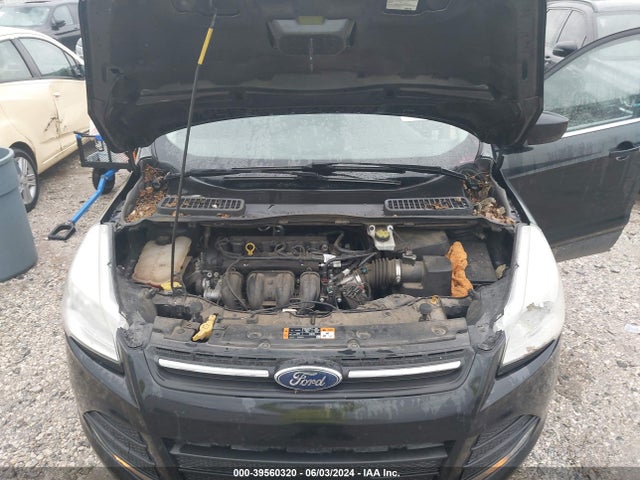 Ford ESCAPE SE 2015 1FMCU0G7XFUC76848 Image 10