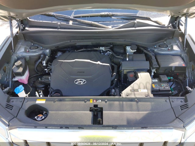 Hyundai Palisade Calligraphy 2024 KM8R7DGE2RU718078 Image 10
