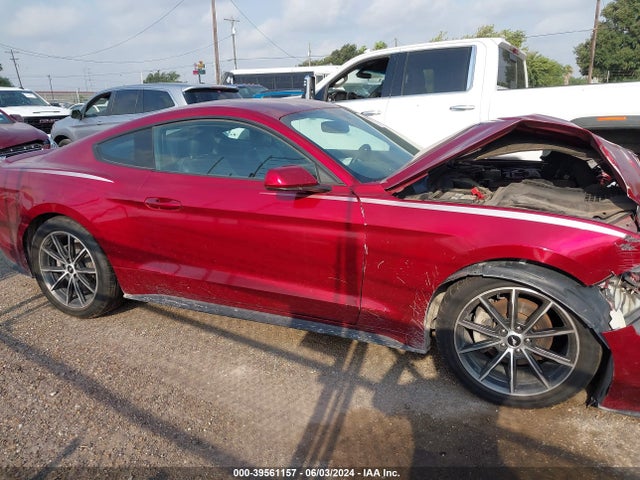 Ford Mustang Ecoboost 2019 1FA6P8TH0K5134573 Image 13