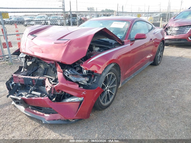 Ford Mustang Ecoboost 2019 1FA6P8TH0K5134573 Image 2