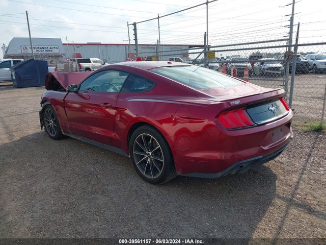 Ford Mustang Ecoboost 2019 1FA6P8TH0K5134573 Image 3