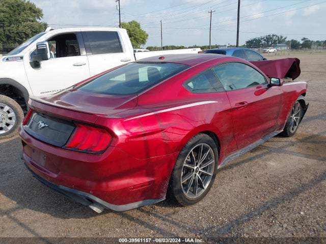Ford Mustang Ecoboost 2019 1FA6P8TH0K5134573 Image 4