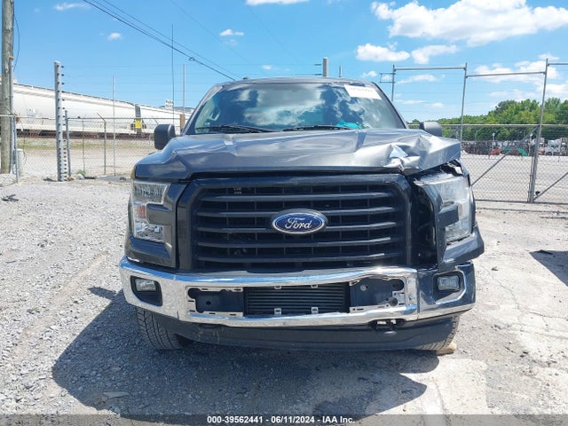 Ford F-150 Xlt 2015 1FTFW1EG4FFB35329 Image 12
