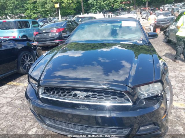 1ZVBP8EM2E5205597 Ford Mustang V6 Premium