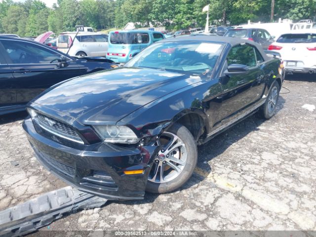 1ZVBP8EM2E5205597 Ford Mustang V6 Premium