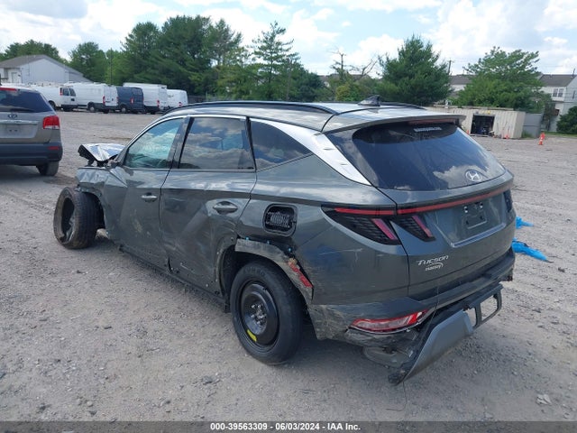 Hyundai Tucson Limited 2023 5NMJECAEXPH218846 Image 3