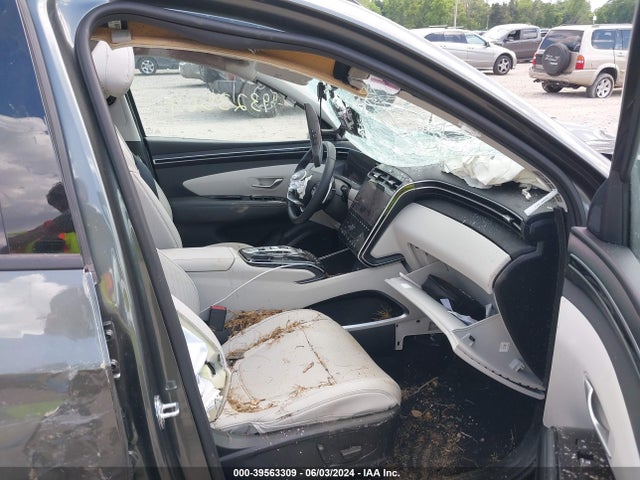 Hyundai Tucson Limited 2023 5NMJECAEXPH218846 Image 5