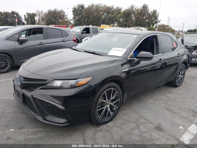 4T1G31AK7MU556294 Toyota Camry Se Hybrid