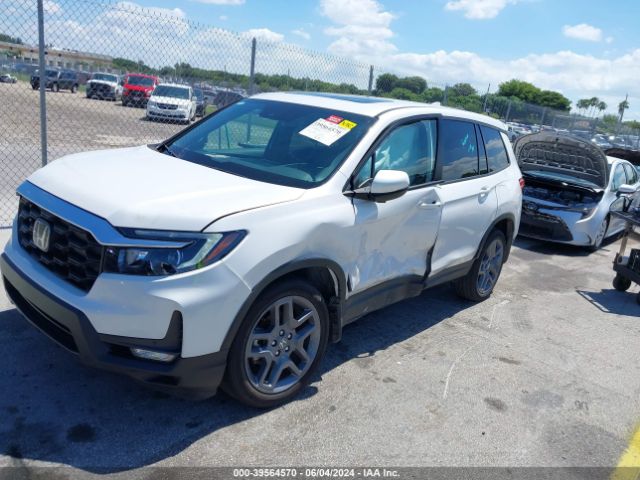 5FNYF8H50PB023189 Honda Passport Awd Ex-l