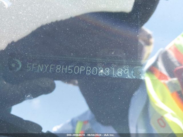 5FNYF8H50PB023189 Honda Passport Awd Ex-l