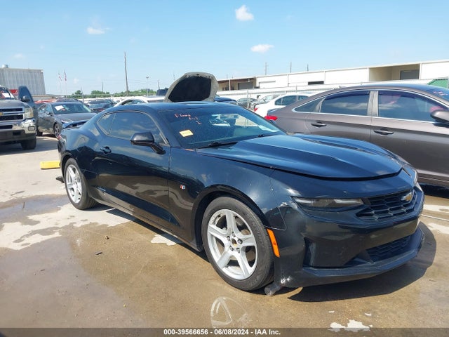 2019 1G1FB1RS7K0106388 main image