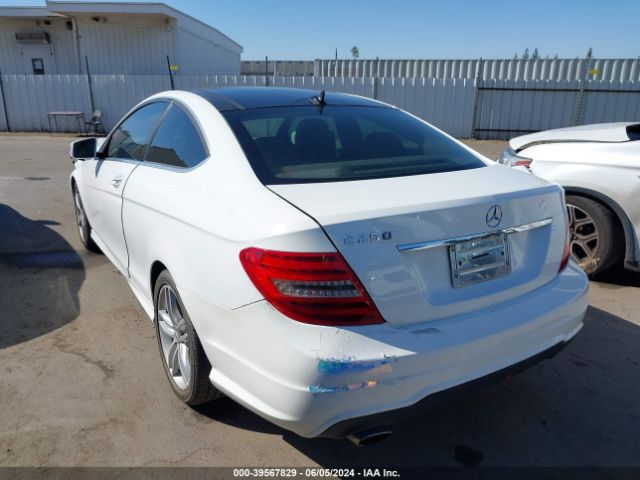 WDDGJ4HB2EG256881 Mercedes-Benz C 250