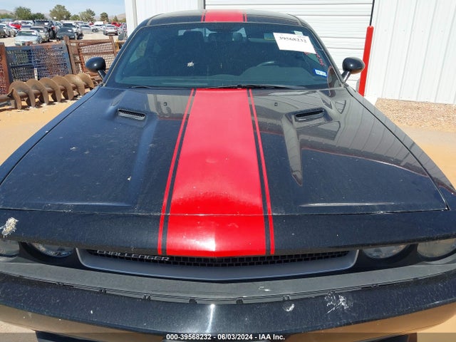 Dodge Challenger Rallye Redline 2014 2C3CDYAG3EH112293 Image 10