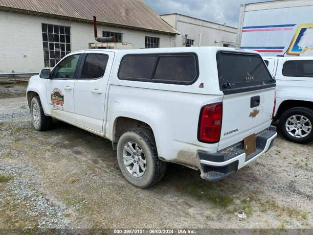 Chevrolet Colorado Lt 2016 1GCGSCEA7G1234717 Image 3