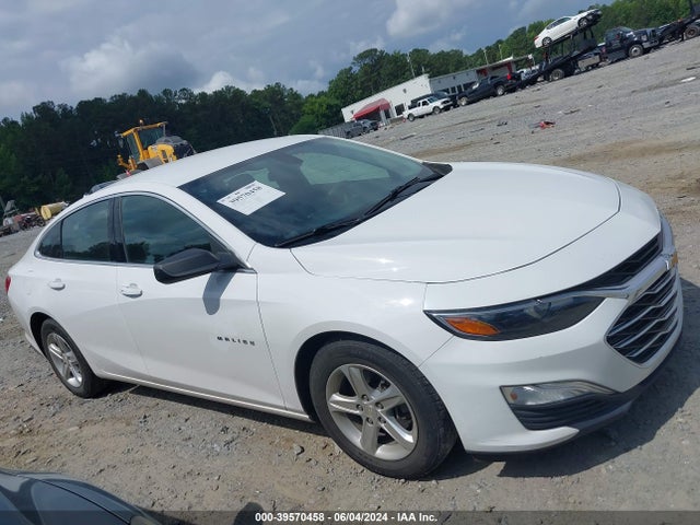 Chevrolet Malibu 1fl 2019 1G1ZC5ST5KF131713 Image 13
