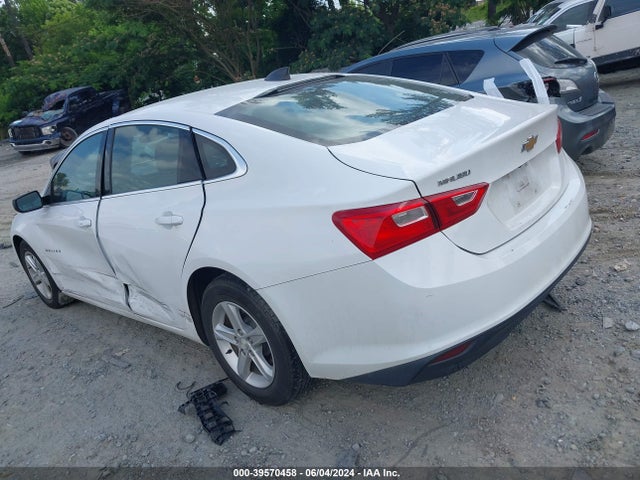 Chevrolet Malibu 1fl 2019 1G1ZC5ST5KF131713 Image 3