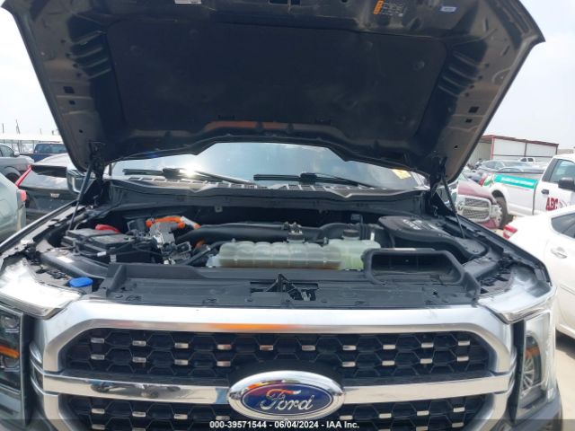 1FTFW1ED9MFB40318 Ford F-150 Platinum