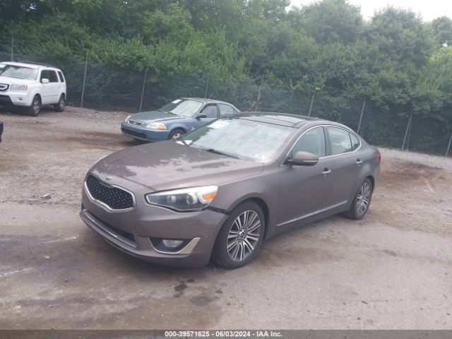 KNALN4D70E5120613 KIA Cadenza Premium