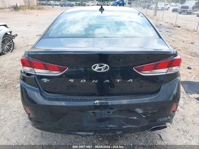 Hyundai SONATA SEL 2019 5NPE34AF5KH787329 Image 16