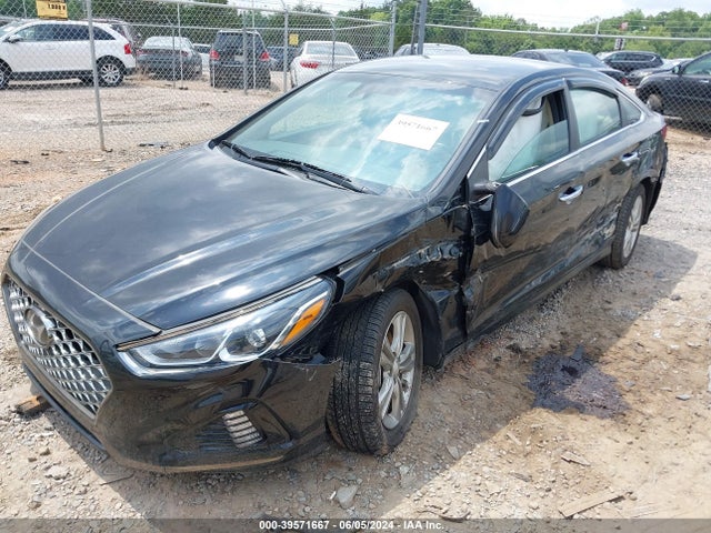 Hyundai SONATA SEL 2019 5NPE34AF5KH787329 Image 2
